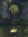 Firework Glow-in-the-Dark Screen Print