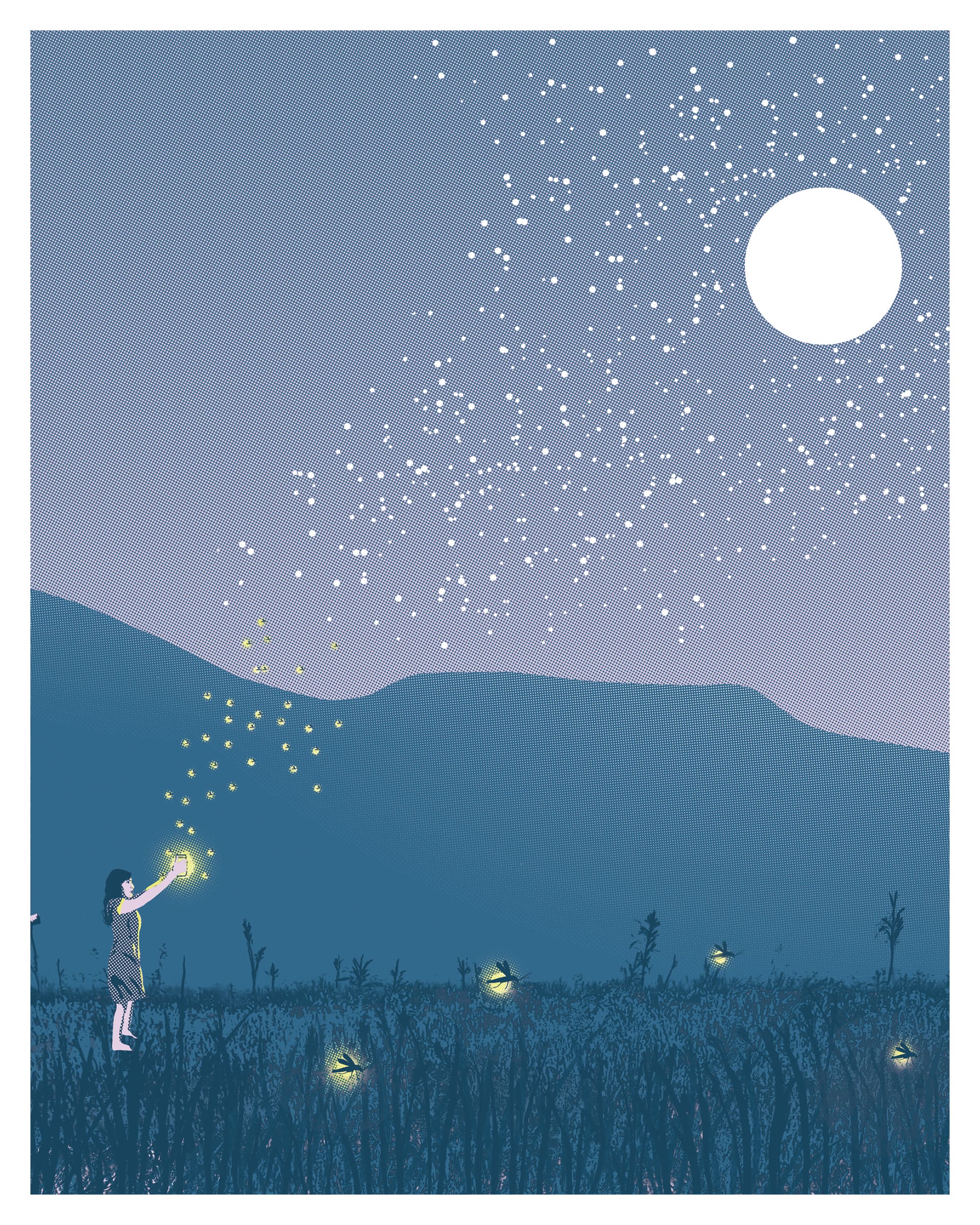 Fireflies Posters Online - Shop Unique Metal Prints, Pictures